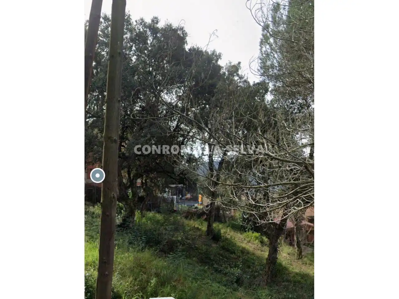 Terreno rústico en venta en Calle Falguera, imagen 2