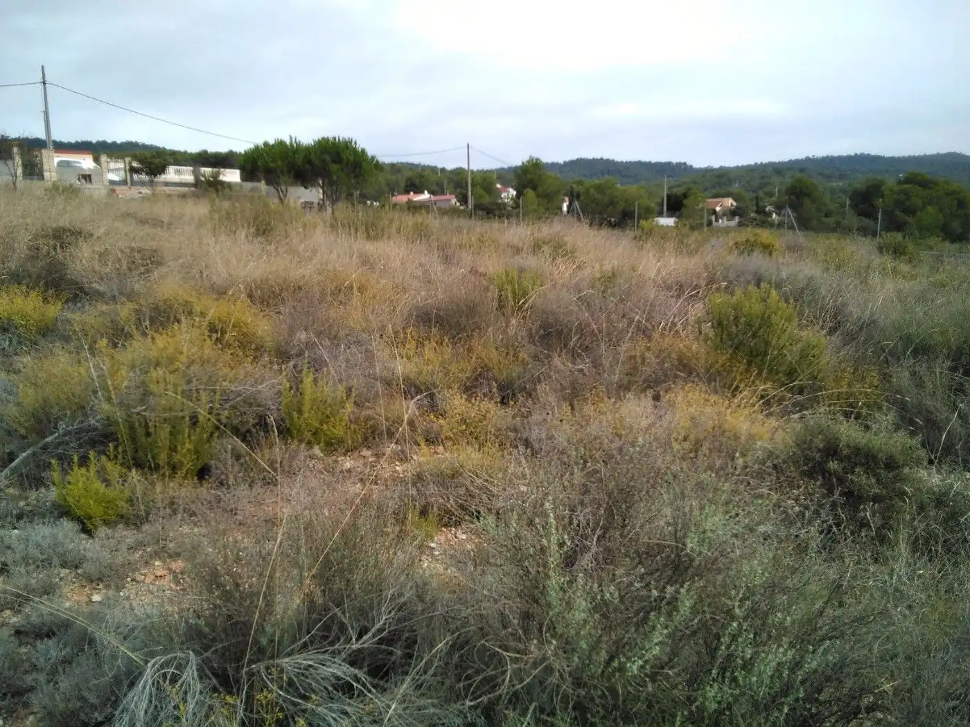 Terreno residenziale in vendita a Querol, imagen 11