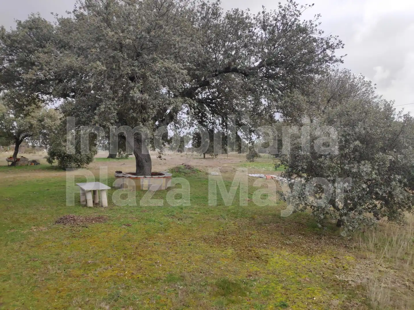 Detached house with garden for sale in Mozárbez, imagen 27