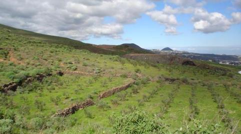 Photo 2 of Country house for sale in El Goro - Ojos de Garza, Las Palmas