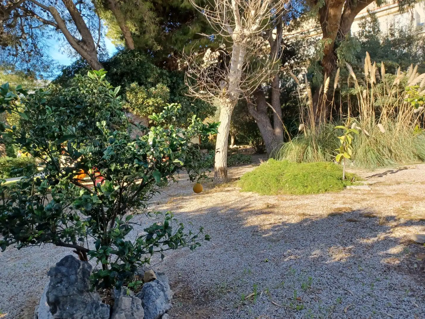 Jardí de Casa o xalet en venda en Cubelles amb Jardí privat