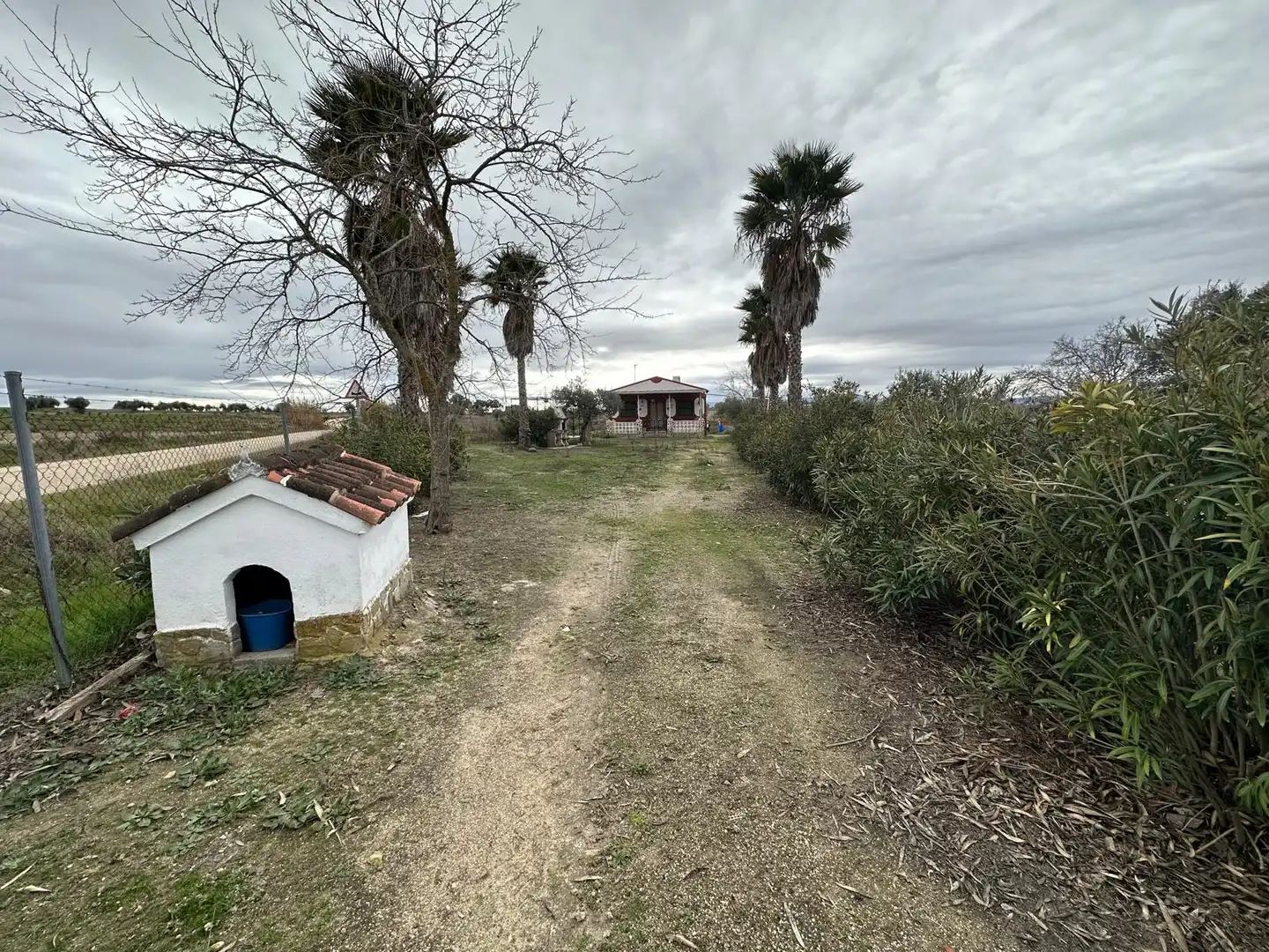 Casa o xalet en venda en La Haba 