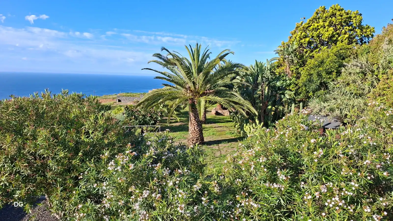 Jardí de Casa o xalet en venda en San Juan de la Rambla amb Jardí privat i Terrassa
