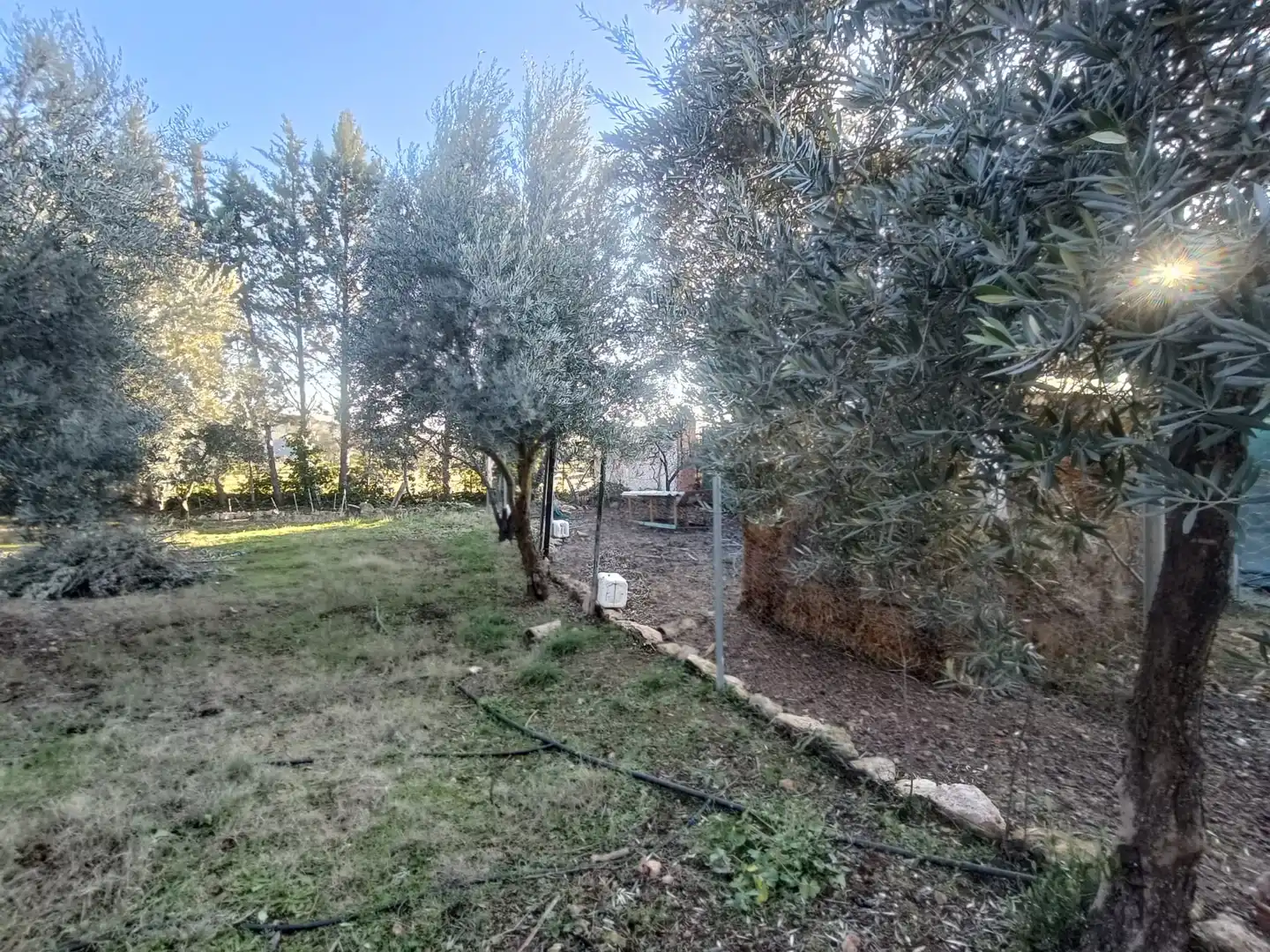 Casa o chalet en venta en Carrión de Calatrava con Jardín privado, Trastero y Amueblado