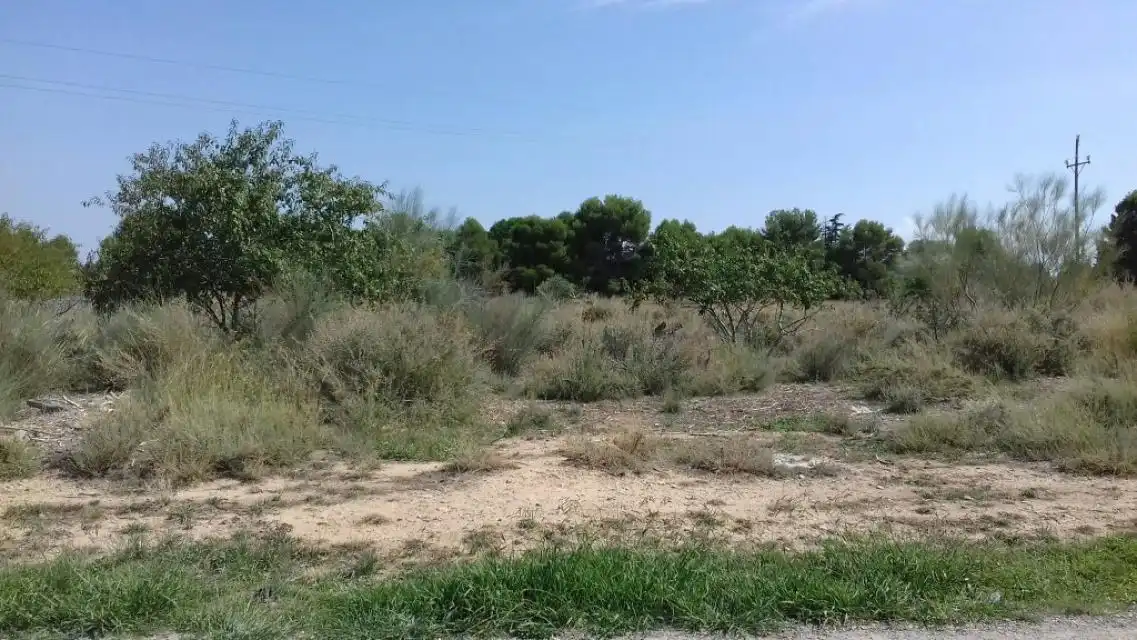 Rural land for sale in PARTIDA PLA DE LA CERDERA, imagen 5