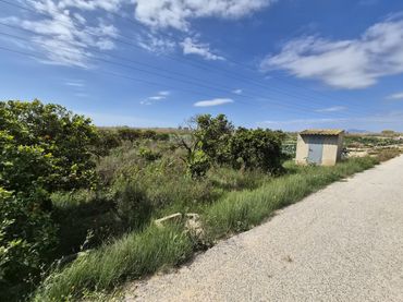 Terreno rustico in vendita a Partida la Capitana