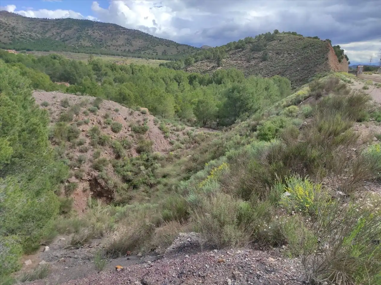 Terreno rustico in vendita a Lorca 0, imagen 8