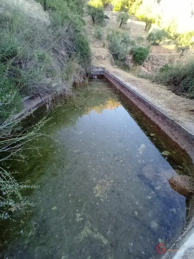 Terrenys i solars en venda a Los Guájares, imagen 8