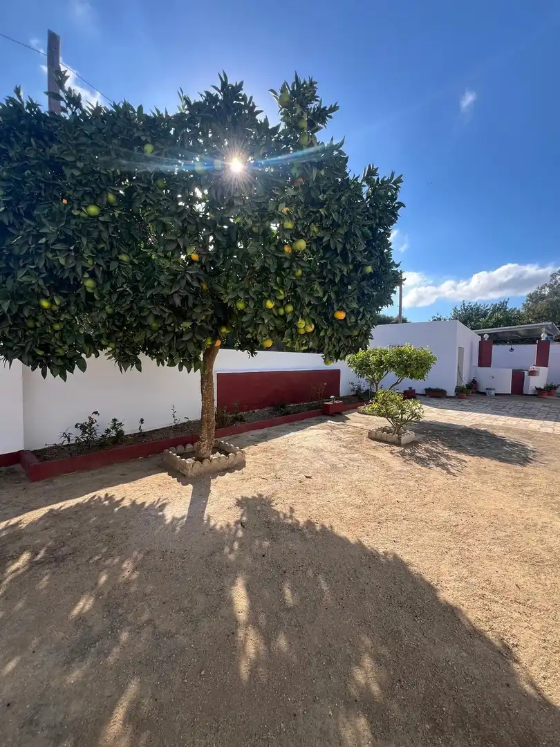 Casa rústica en venda a Vejer, imagen 2