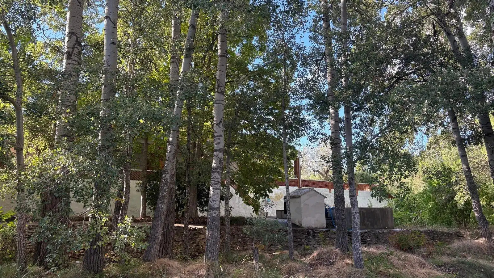 Villa avec piscine à vendre à Almansa, imagen 3