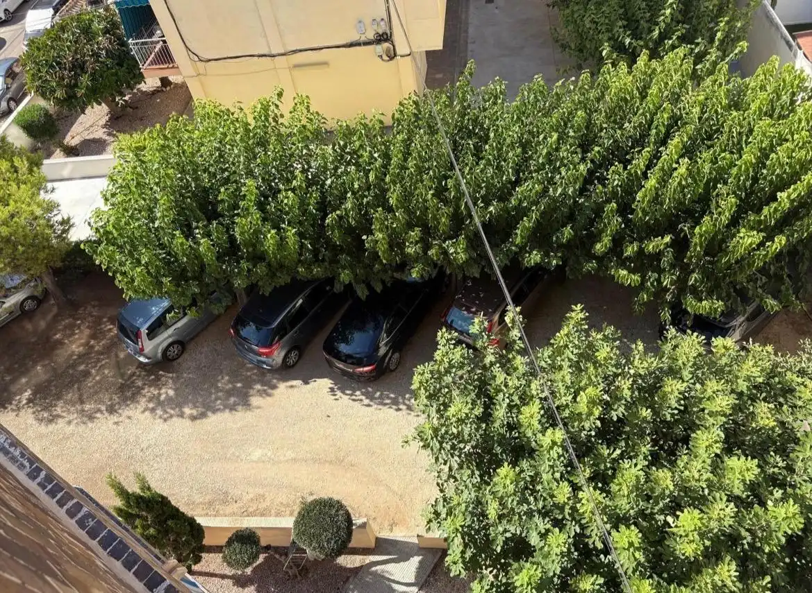 Parkplatz von Wohnung zum Verkauf in Torrevieja mit Terrasse und Möbliert