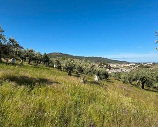 Land for sale in Aliseda