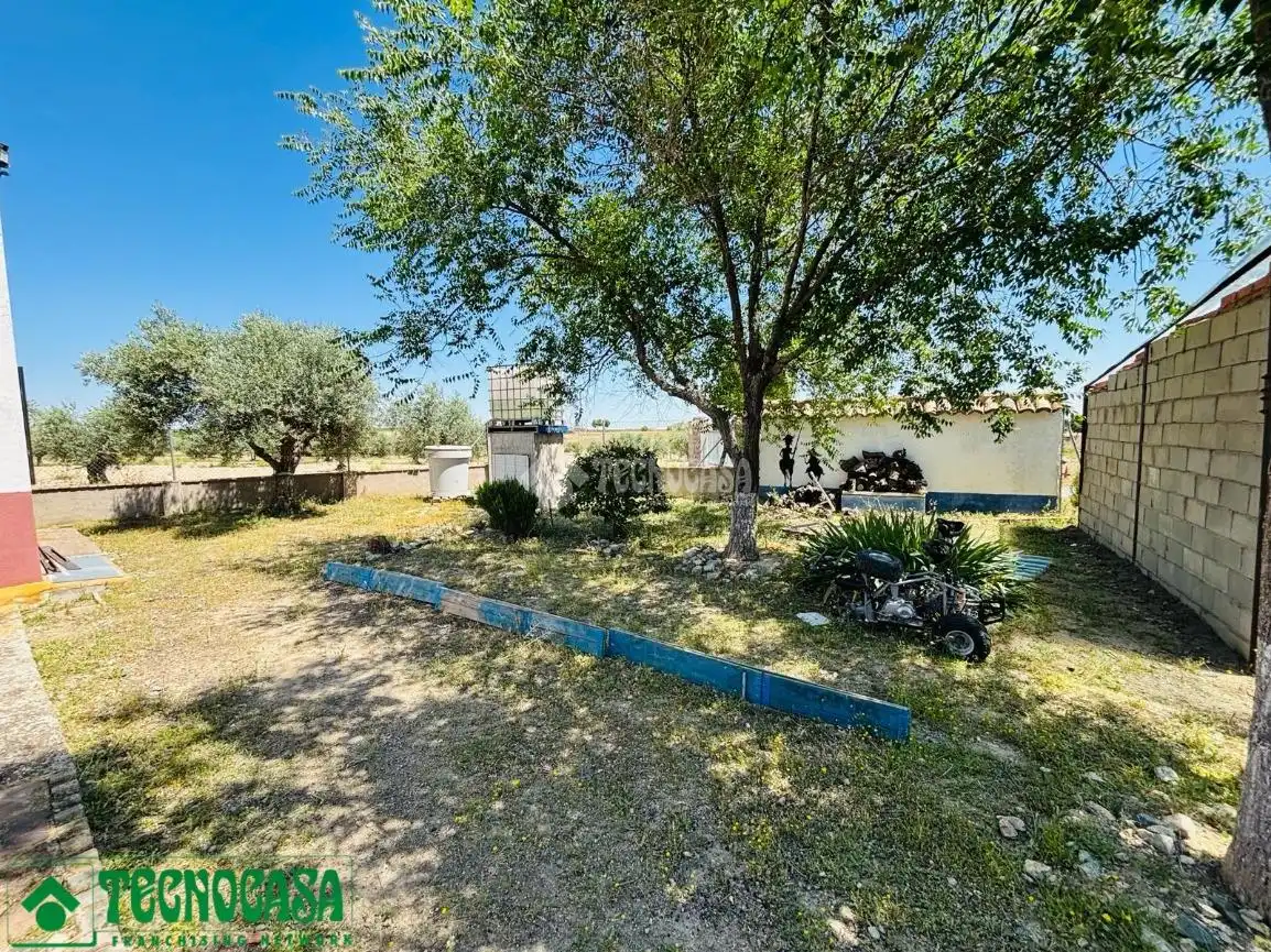 Land for sale in Mascaraque