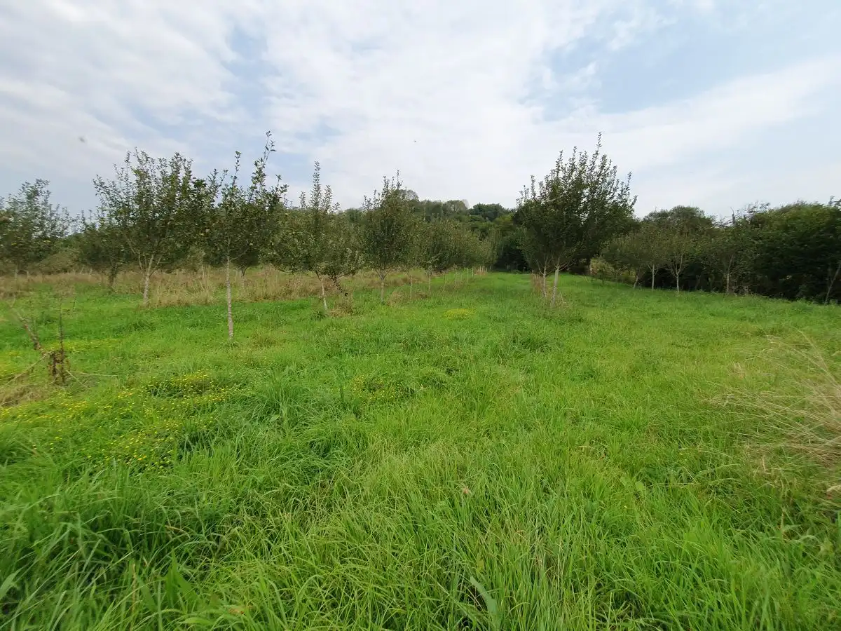 Maison rustique à vendre à Grado, imagen 8