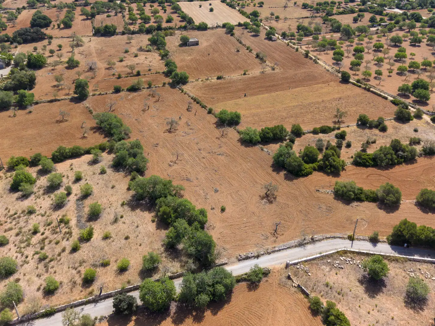 Lands and plots for sale in Felanitx Poble, imagen 2