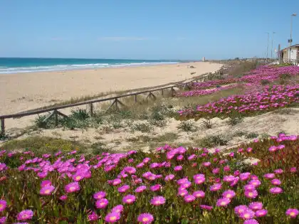 Terreni e lotti in vendita a Vejer, imagen 2