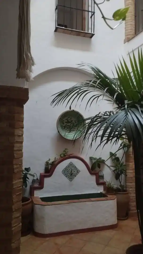 Terrassa de Casa o xalet en venda en El Viso del Alcor, Sevilla