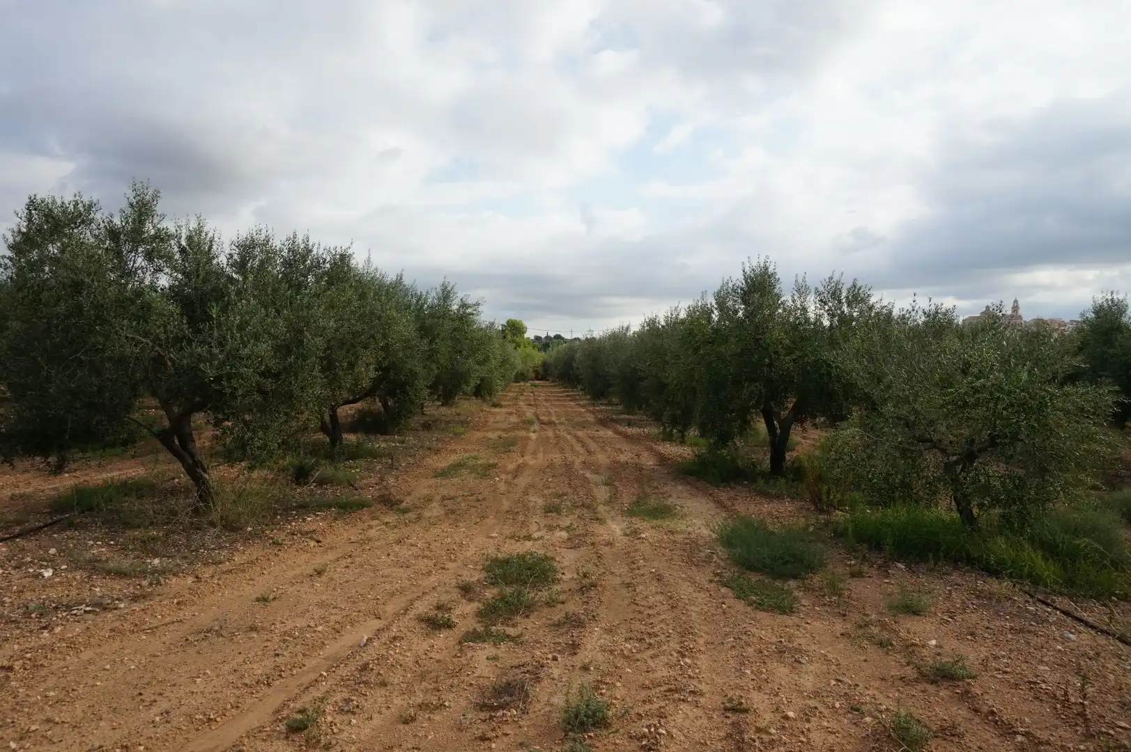 Terreno rustico in vendita a La Creu de Salom, imagen 22