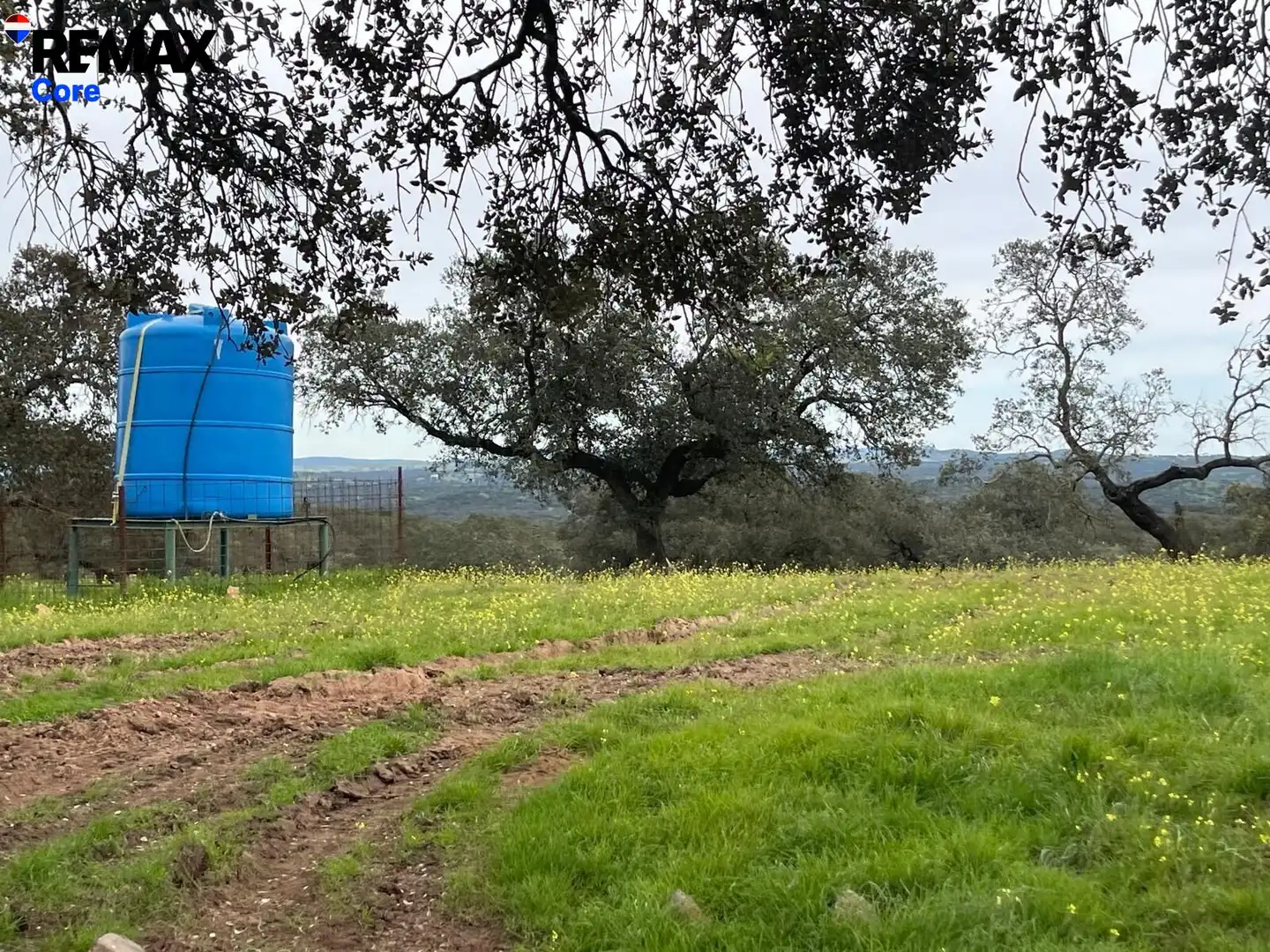 Grundstücke zum Verkauf in Alconchel