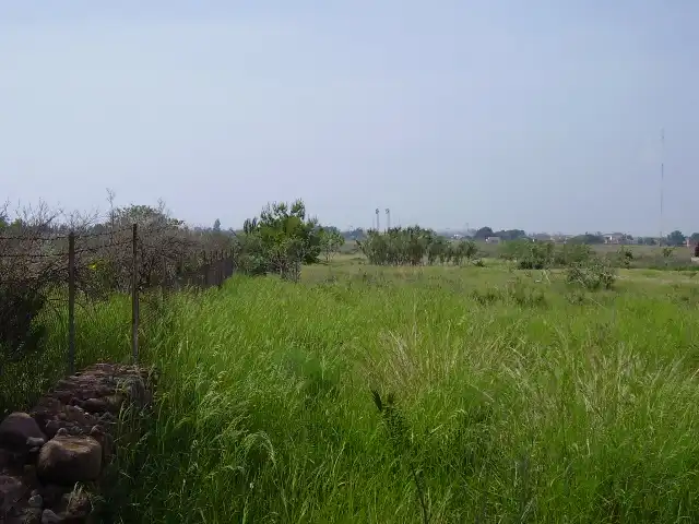 Residential land for sale in Calle Rafael Balaguer 75, imagen 11