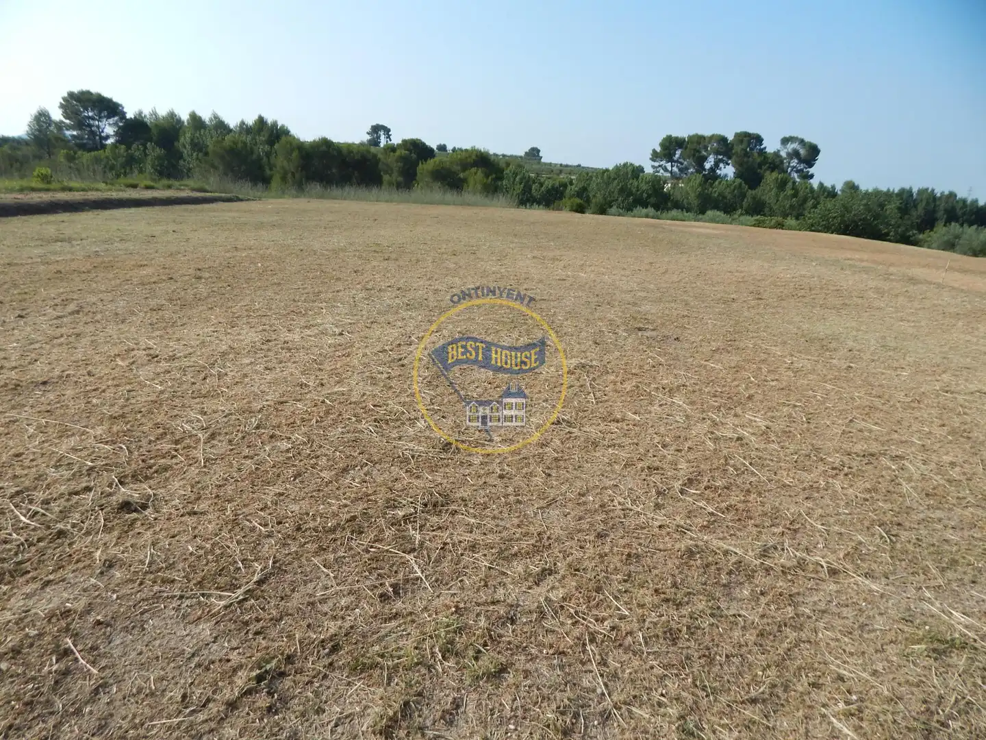 Terreno rustico in vendita a Albaida, imagen 5