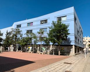 Außenansicht von Büro miete in Santa María de Guía de Gran Canaria