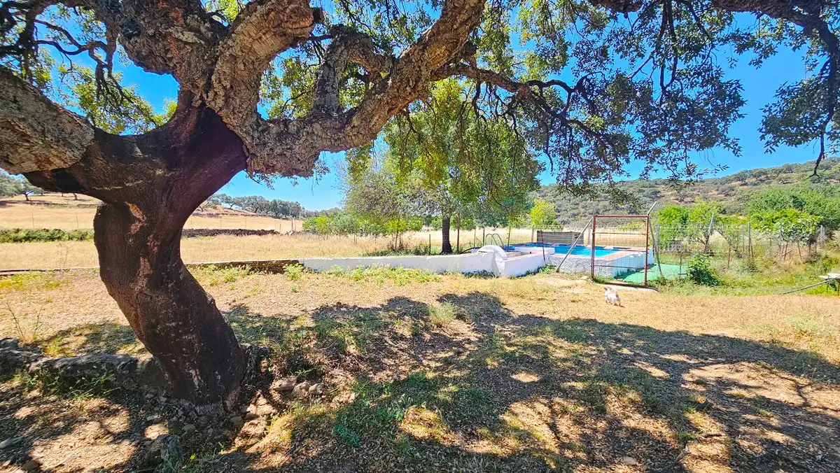 Vista exterior de Casa o chalet en venta en Higuera de la Sierra con Aire acondicionado, Jardín privado y Terraza