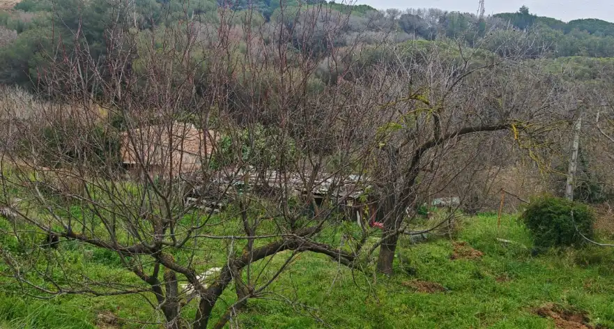 Terreni e lotti in vendita a Zona Industrial, imagen 6