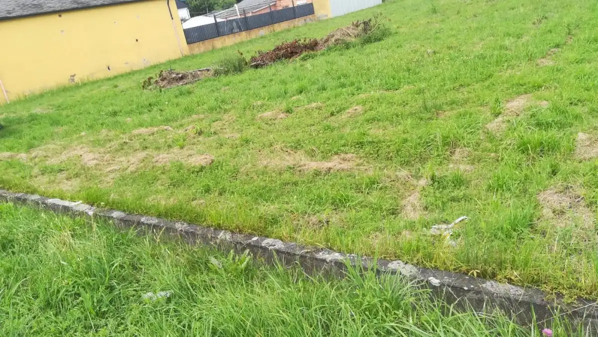 Terreni e lotti in vendita a Compostilla - Columbrianos, imagen 2