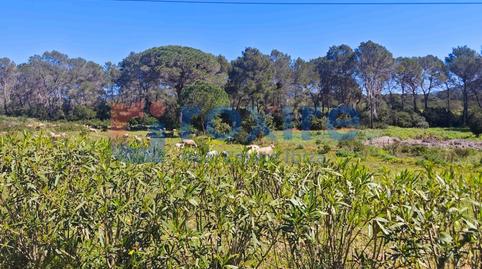 Foto 4 de Finca rústica en venta en Diseminados Bolatar Baix, 56, Sant Joan de Labritja, Illes Balears