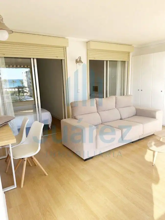 Sala de estar de Piso de alquiler en Alicante / Alacant con Aire acondicionado, Calefacción y Parquet