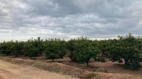 Foto 2 de Terreno en venta en Barranco de Los Pilares, Quatretonda, Valencia