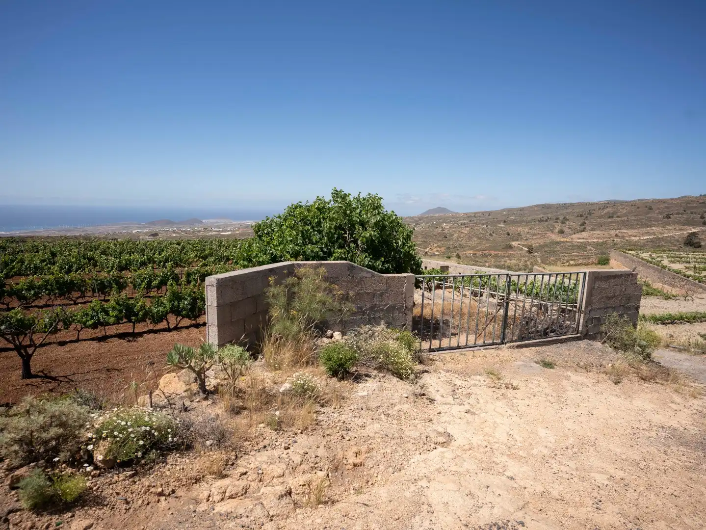 Terreno rustico in vendita a N/A, imagen 7