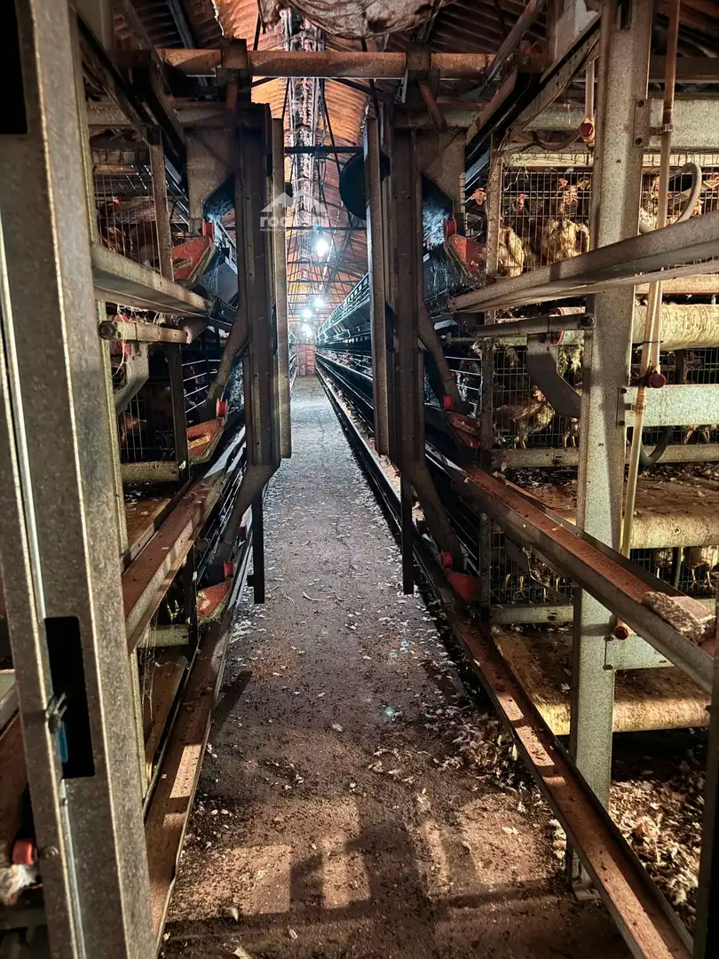 Nave industrielle à vendre à Arbo, imagen 25