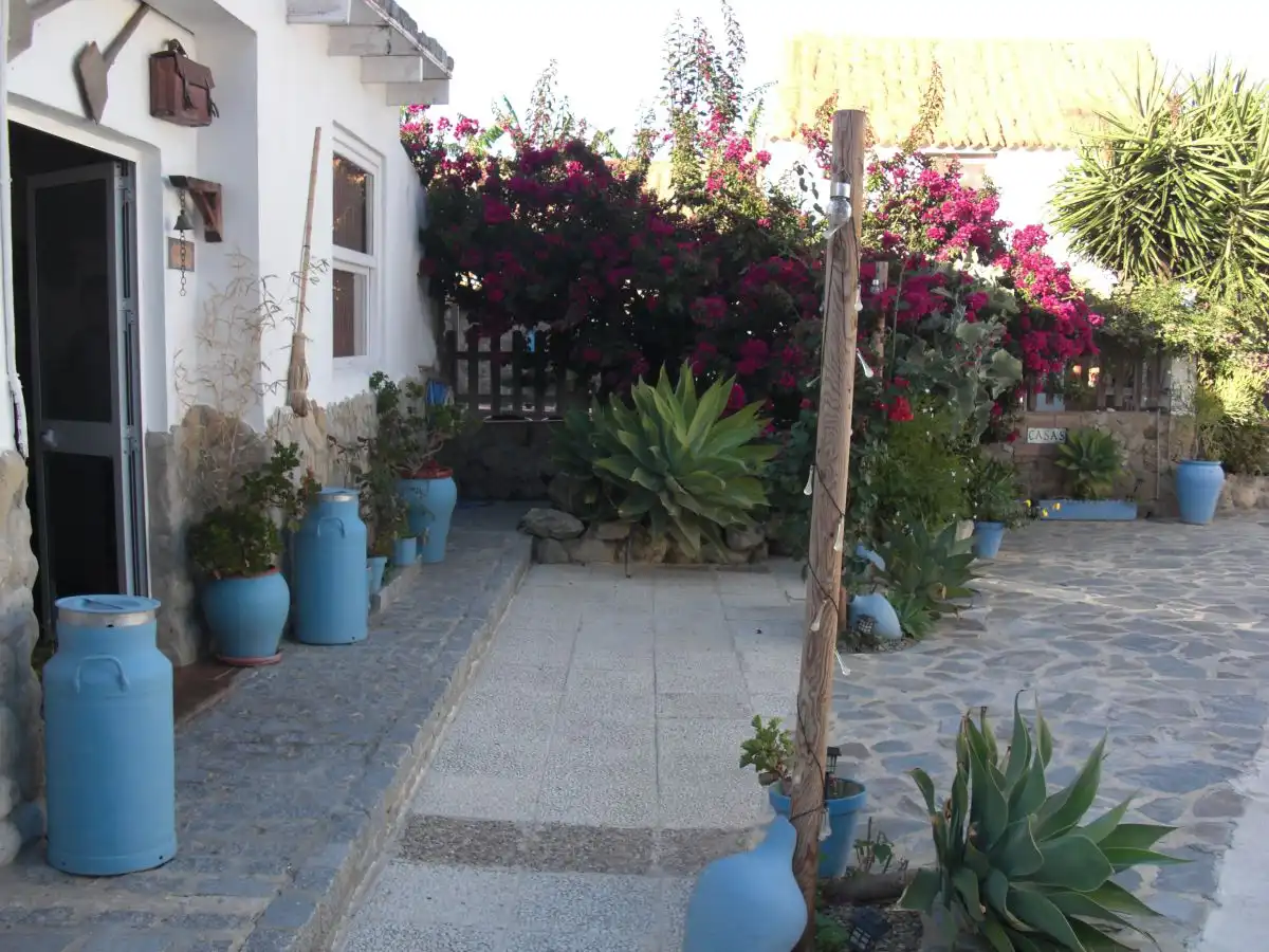 Maison rustique à vendre à Vejer, imagen 19