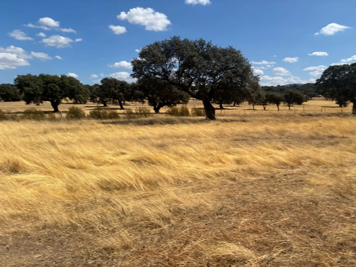 Terreno rustico in vendita a Mohedas de la Jara, imagen 8