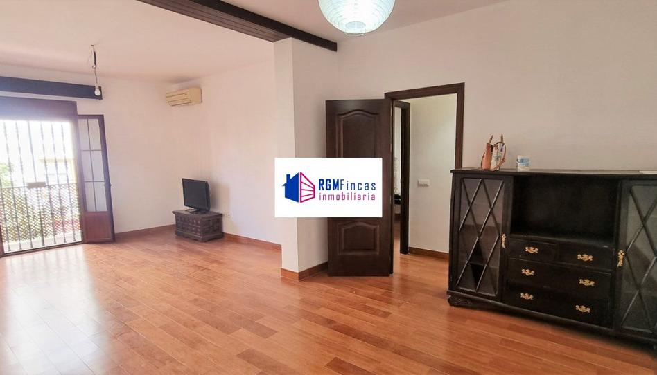 Photo 1 of Flat to rent in San Pablo, Sevilla