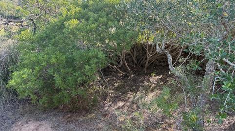 Foto 3 de Terreno en venta en Carrer de Sant Llorenç del Cardassar, 59, Artà Poble, Illes Balears