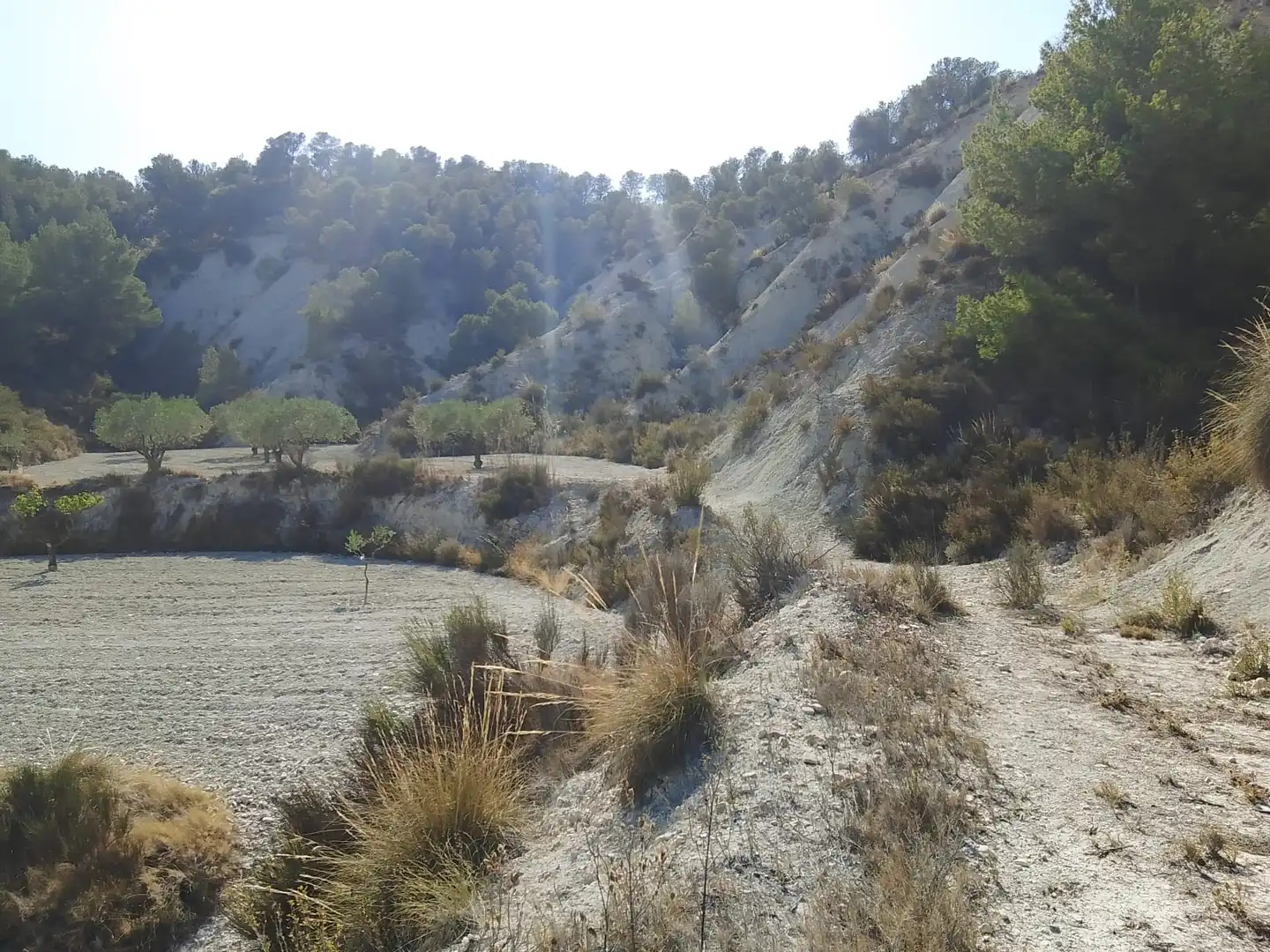 Terreno rustico in vendita a N/A, imagen 114