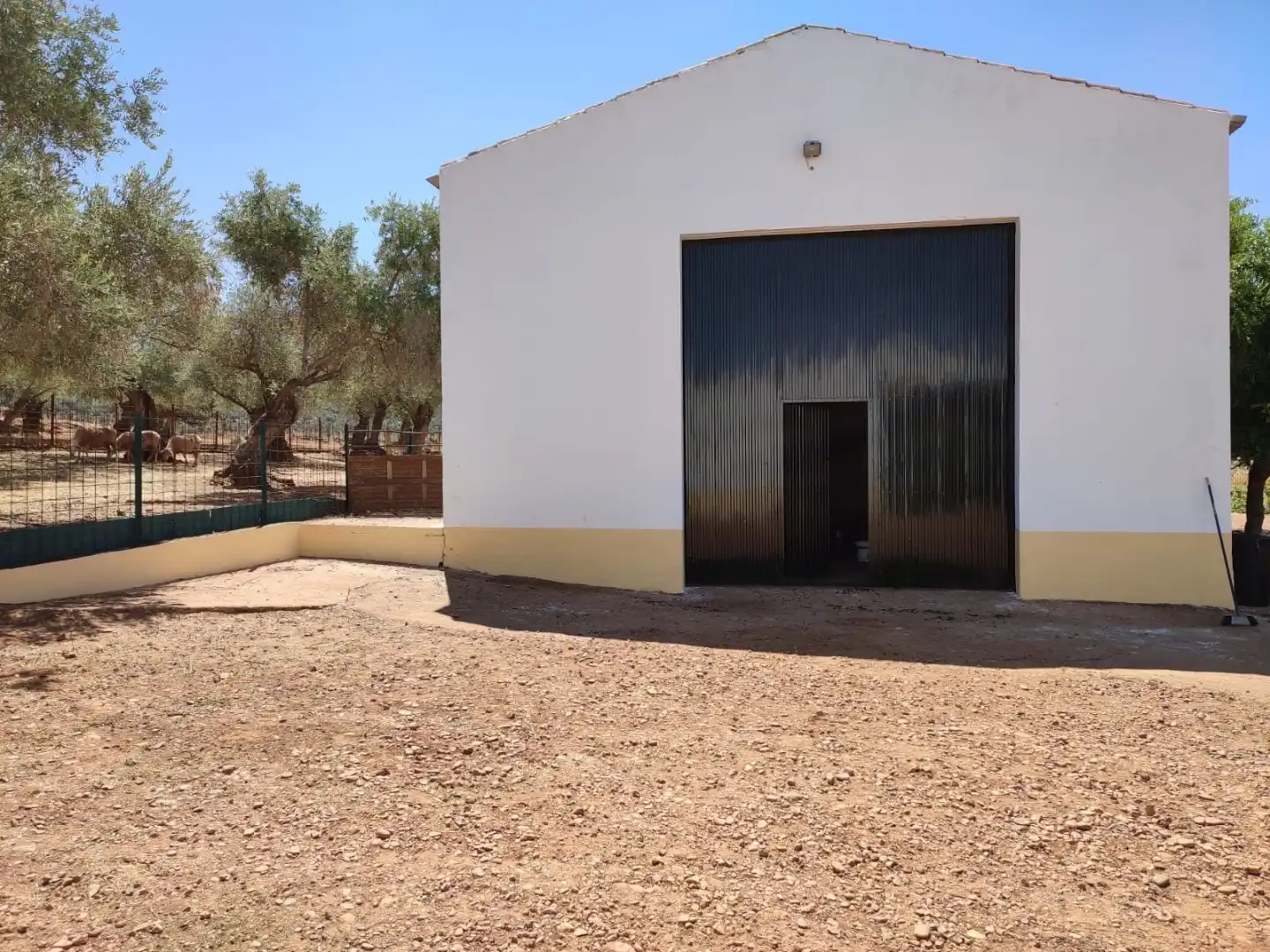 Außenansicht von Grundstücke zum Verkauf in Olivenza