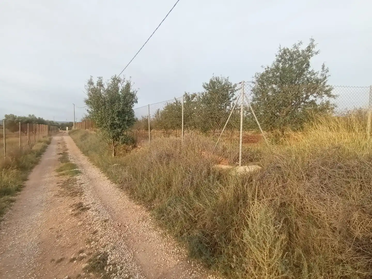 Terreny rústic en venda a Pedanías Oeste, imagen 9