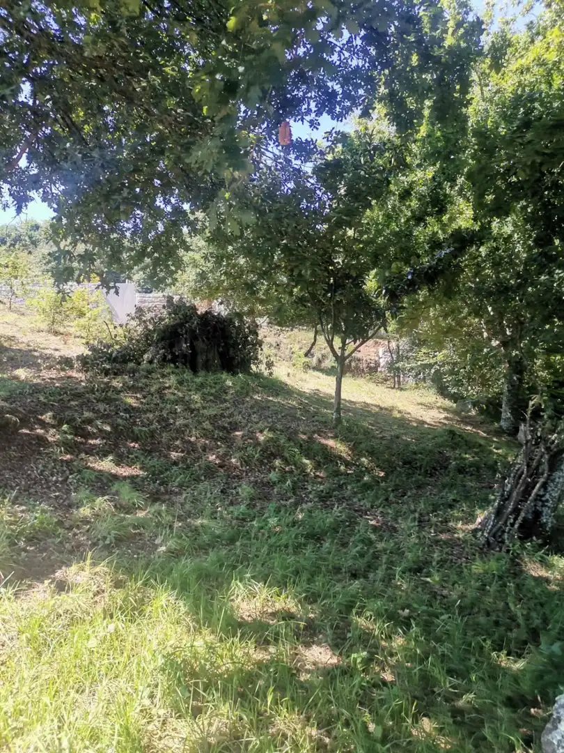 Terrenys i solars en venda a Mos, imagen 22