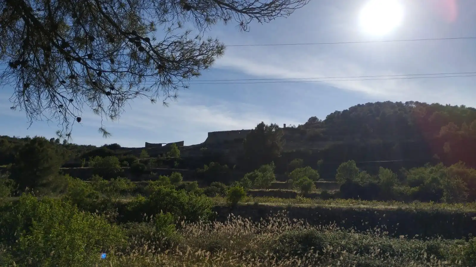 Vista exterior de Finca rústica en venta en Vilalba dels Arcs