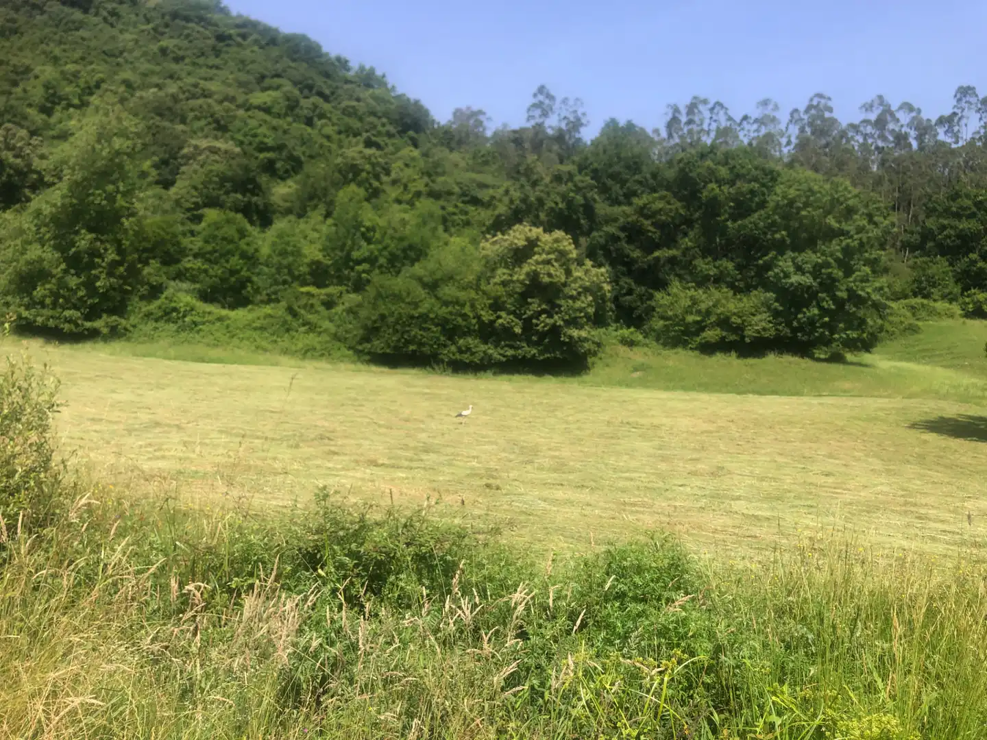 Buildings for sale in Corvera de Toranzo