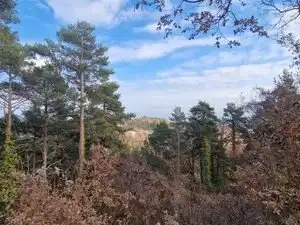 Residential land for sale in Carrer Fontanelles 374, imagen 4