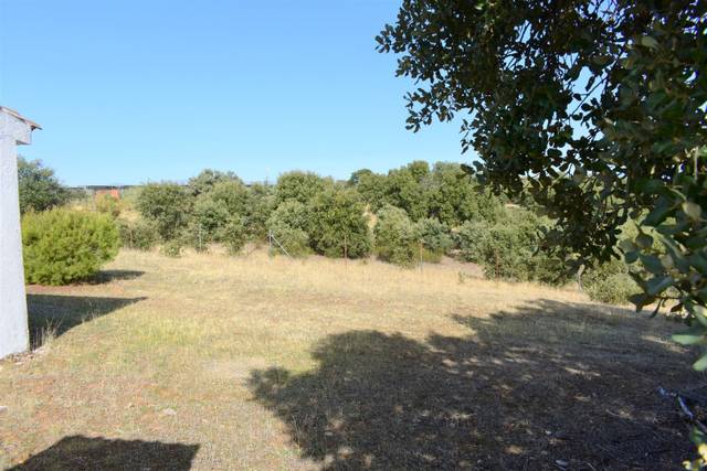 Terreno en Venta en Carretera de Ajalvir, 42 en Ribatejada