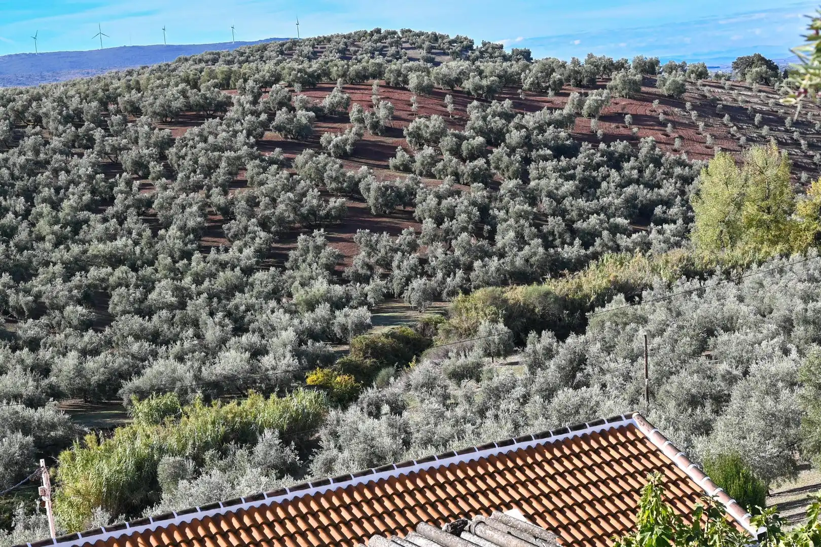 Finca rústica en venta en Villanueva de Algaidas