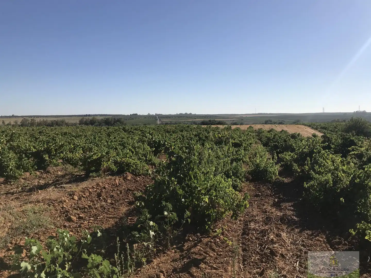 Finca rústica en venta en Chucena