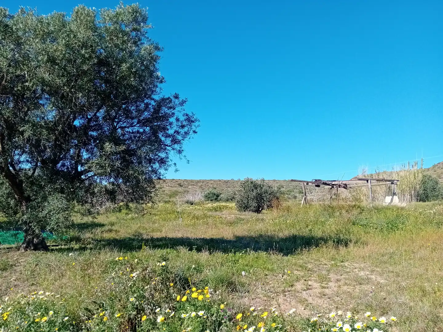 Land for sale in Cartagena