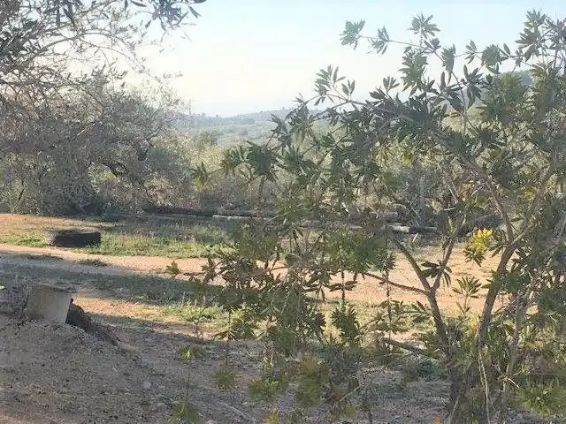 Casa o xalet en venda en Tortosa